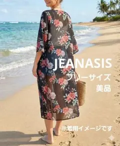 JEANASIS 花柄シアーガウン 半袖のサムネイル
