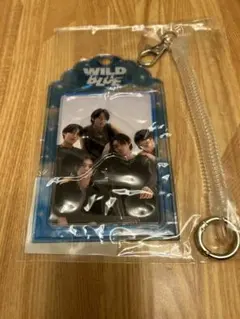 WILD BLUE フォトカードセット