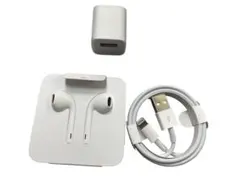 Apple 純正イヤホン & Lightningケーブルセット