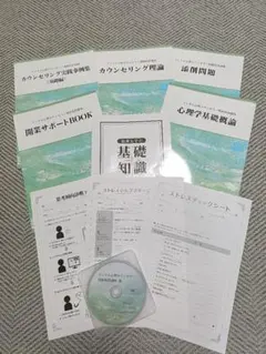 2026年最新】メンタル心理カウンセラー キャリカレの人気アイテム