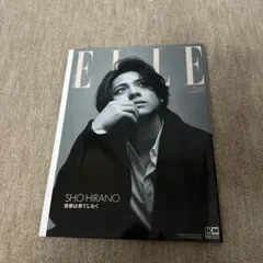 Item thumbnail for item e9e42f53-297c-4cb0-919e-d5f6a55813ae