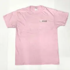 FRUIT OF THE LOOM ピンク Tシャツ Lサイズ 半袖 古着