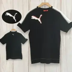 【プーマ 半袖ビッグロゴTシャツ】 L 黒 PUMA 古着 メンズ