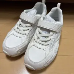 瞬足　白　スニーカー　22.5cm