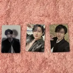 DO IT 通常盤　アコーディオン　accordion トレカ　チャンビン