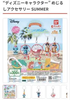 ディズニーキャラクター めじるしアクセサリー　summer まとめ売り