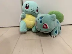 ポケットモンスター ALL STAR COLLECTION フシギダネ　ゼニガメ