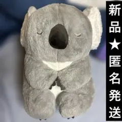 ウルトラBIG】まるまりコアランド コアラ ぬいぐるみ - メルカリ