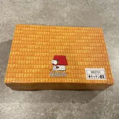 PEANUTS スヌーピー ランチボックスセット
