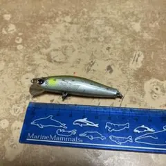 Item thumbnail for item 7f0b2f3b-d8bb-42d8-b696-dedb65f515cd