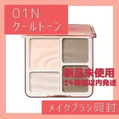 新品　JUDYDOLL メリハリマスターパレット01N クールトーン