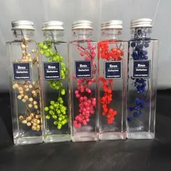 ハーバリウム＊インテリアに