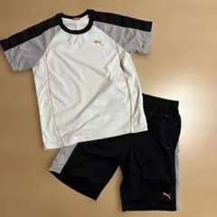 PUMA 半袖半ズボン セットアップ