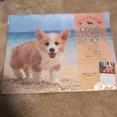 Item thumbnail for item 53f08ba8-9105-4ba2-a780-a3eeba2de360