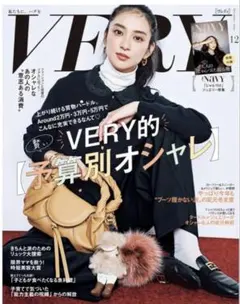 VERY 12月号　NaVY付