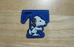 T1枚　ｈｉさま専用