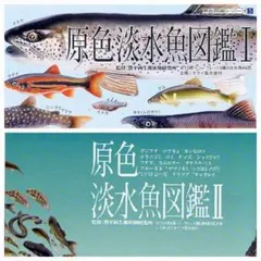 ユージン 原色淡水魚図鑑Ⅰ & Ⅱ 未使用 6種セット