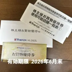 ヤマダ電機　お買物優待券5,000円　10枚✖︎500円