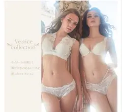 ANNEBRA venice フロントNUDEブラセット 70Eのサムネイル