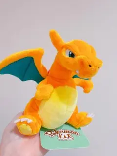 Pokémon fit リザードン