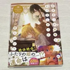 ある日、お姫様になってしまった件について 12