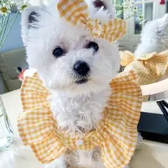 黄色 犬服 可愛い 薄手 ワンピース L 夏 犬の服 サロペット ドッグウェア