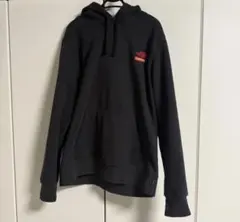 Supreme The North Face 自由の女神 パーカーのサムネイル