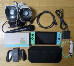 【美品】Nintendo Switch あつまれ どうぶつの森セット