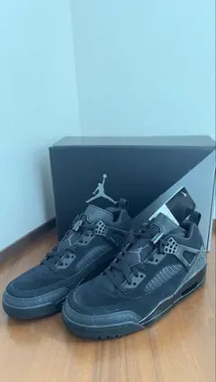 JORDAN スパイジーク Low