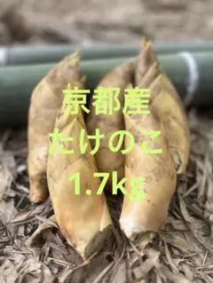 2026年最新】京都たけのこの人気アイテム - メルカリ