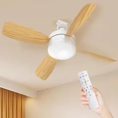 Item thumbnail for item eb3bf8a5-ffa3-45d0-8b28-63b961482341