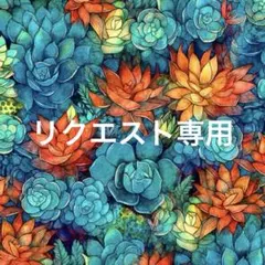ettsuman様 リクエスト 2点 まとめ商品