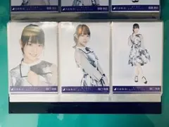 乃木坂46 生写真 コンプ 阪口珠美