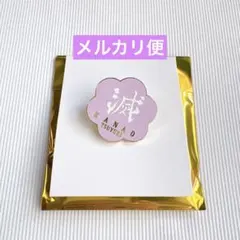 鬼滅の刃　隊士百景　コレクションピンズ　栗花落カナヲ①