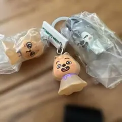 SKZOO めじるしアクセサリー HAN QUOKKA ウルフ、パピ