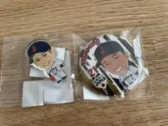 侍ジャパン 東京ヤクルトスワローズ選手2点セット