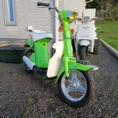 YAMAHA Passol パッソルdライトグリーン - メルカリ