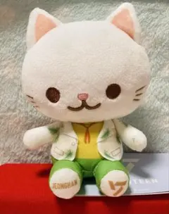 SEVENTEEN ANIMAL COORDY ミニぬいぐるみ【ジョンハン】のサムネイル