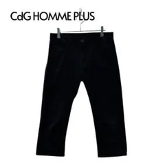 11SS CdG HOMME PLUS スカルオブライフ期 クロップド パンツのサムネイル