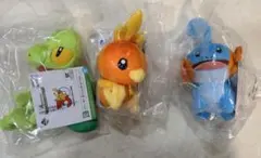 一番くじポケモン30周年E賞ホウエン地方旅立ちの3匹ぬいぐるみコンプ