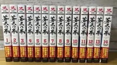 蒼天の拳 新装版 全巻セット 原哲夫 北斗の拳関連 漫画 まとめ売り