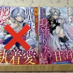 ☆新刊「王命で娶られた忌み姫は氷の魔法騎士の子を身籠りたい」