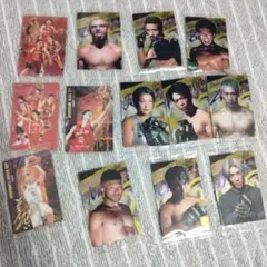 格闘技トレーディングカード 12枚セット