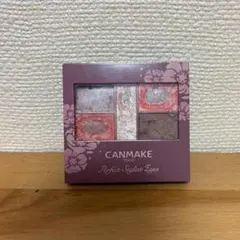 CANMAKE パーフェクトスタイリストアイズ 22