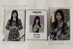 櫻坂46 向井純葉　櫻坂カフェ特典・ローソンプラカード