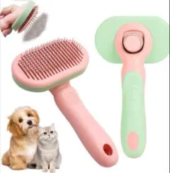 Item thumbnail for item 3e8bb817-03c1-48a0-9521-8c227d58a955