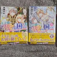 王子様に溺愛されて困ってます 転生ヒロイン、乙女ゲーム奮闘記 2、3