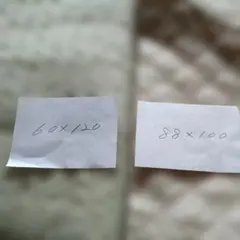 Item thumbnail for item f8e58a09-40e1-42a1-b2c4-2e803e2fd868