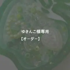 ゆきんこ様専用【オーダー】