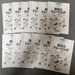 基礎力トレーニング 小学4年 1〜12月号SAPIX1 年間セット 2020年度